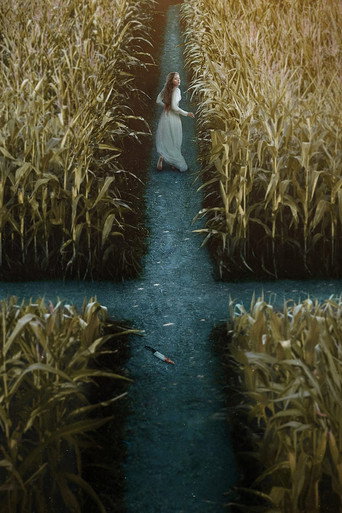 Дьявол в Огайо