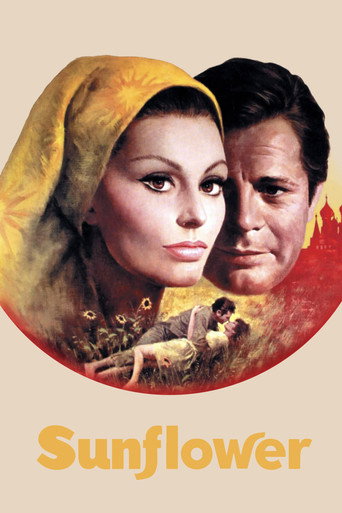 Подсолнухи