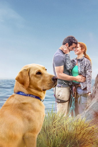 Наставник для Эмили