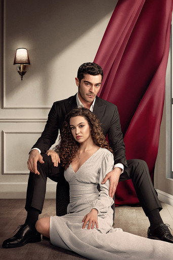 Ночная сказка