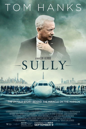 Чудо на Гудзоне