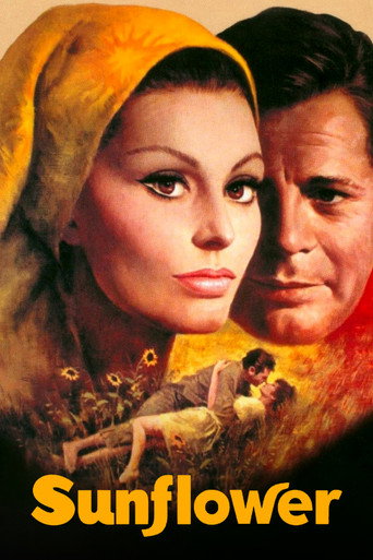 Подсолнухи