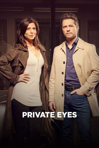 Частные сыщики