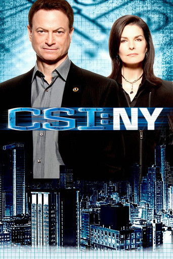 CSI: Место преступления Нью-Йорк