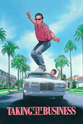 Красивая жизнь