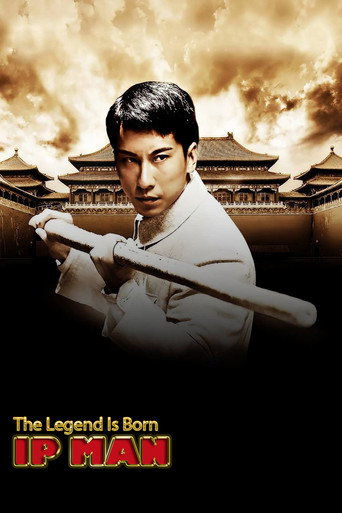 Ип Ман: Рождение легенды