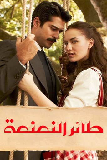 Королёк – птичка певчая